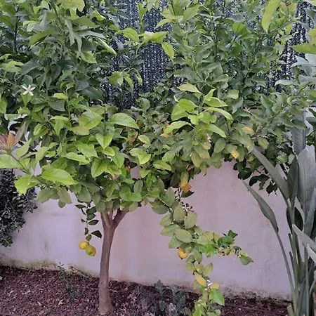 De Lujo En Plena Milla De Oro Villa *